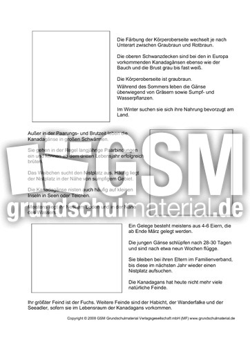 Steckbrief-Kanadagans-Seite-2.pdf